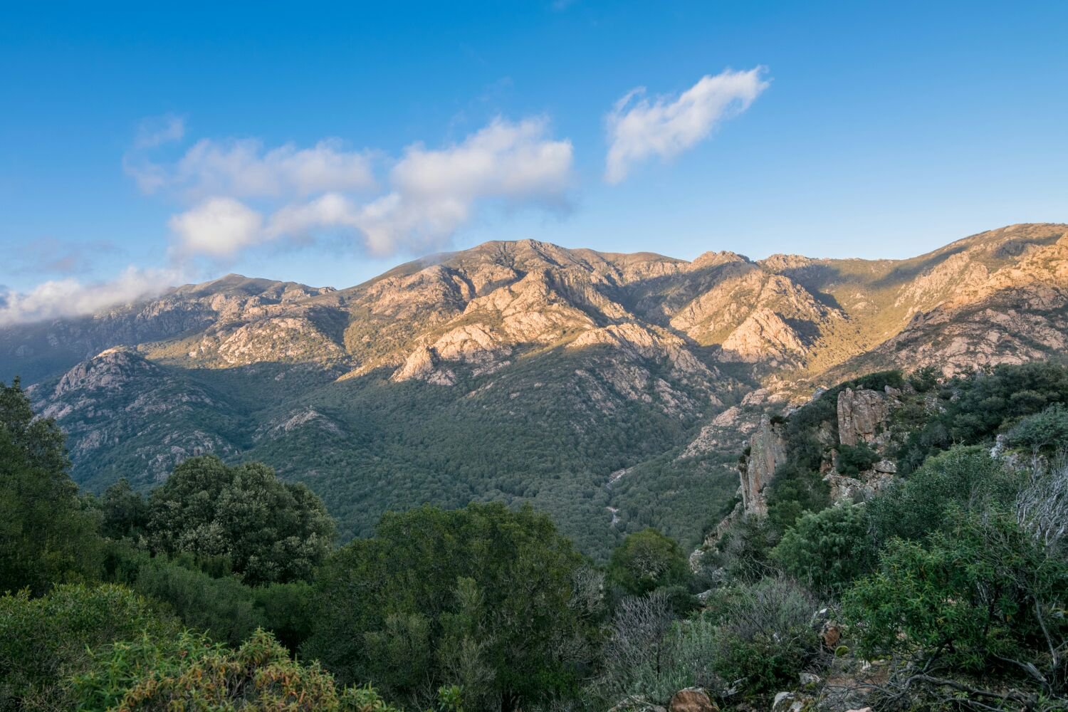 Panoramic view of the Monte Linas granite mountain massif behind Villacidro